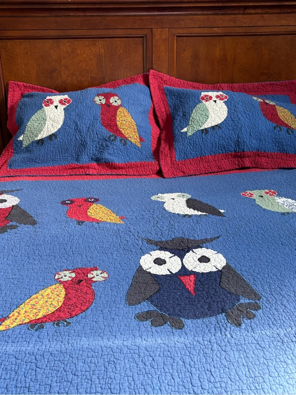 Owl Full Queen Quilt & Pair Standard Shams Set READ